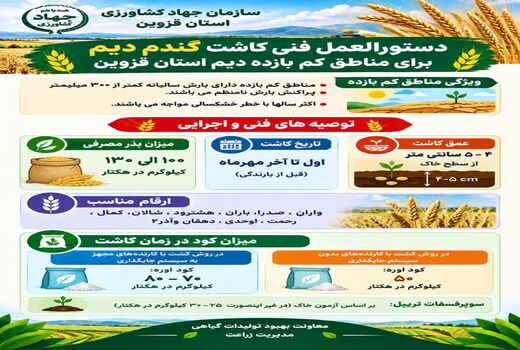 اینفوگرافیک | دستورالعمل فنی کاشت گندم دیم برای مناطق کم بازده دیم استان قزوین 