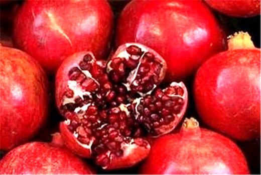 تولید 75 هزارتن انار در داراب