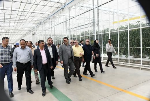 فعالیت بزرگ‌ترین گلخانه مدرن خاورمیانه در شهرستان جلفا