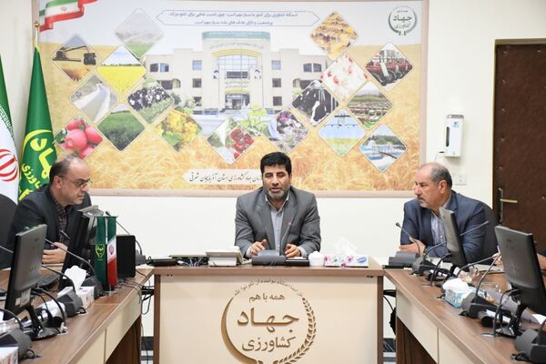 شیوه های نوین کشاورزی و علمی در اصلاح الگوی کشت با ایجاد ارزش افزوده برای کشاورز عملی می شوند