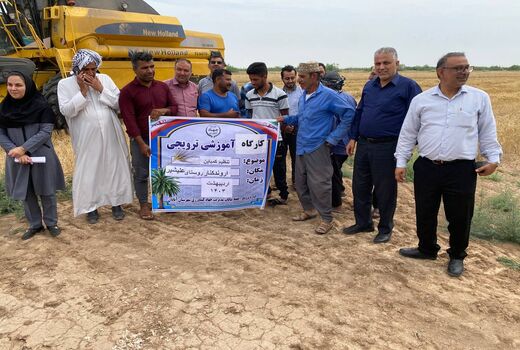 افزایش عملکرد گندم با کالیبره کردن کمباین در آبادان