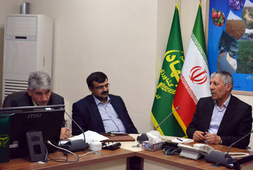 با استفاده بهینه از بذور اصلاح شده و کود پایه، می‌توان راندمان تولید گندم آبی را افزایش داد 