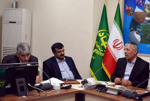 با استفاده بهینه از بذور اصلاح شده و کود پایه، می‌توان راندمان تولید گندم آبی را افزایش داد 