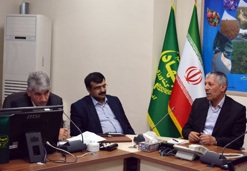 با استفاده بهینه از بذور اصلاح شده و کود پایه، می‌توان راندمان تولید گندم آبی را افزایش داد 
