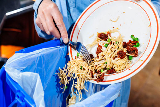 لزوم ترسیم استراتژی پایدار غذایی