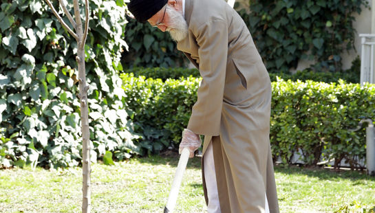 کاشت نهال در هفته منبع طبیعی