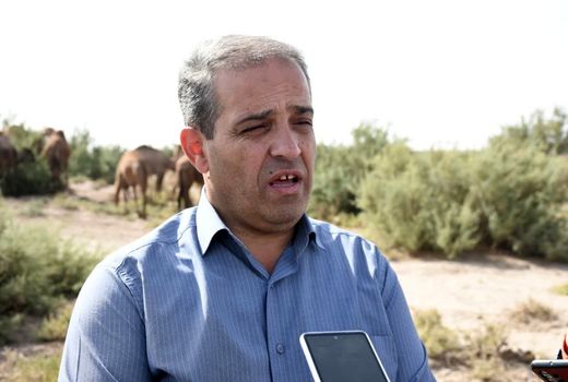 بخش ایلخچی شهرستان اسکو قطب پرورش شتر در شمال غرب کشور