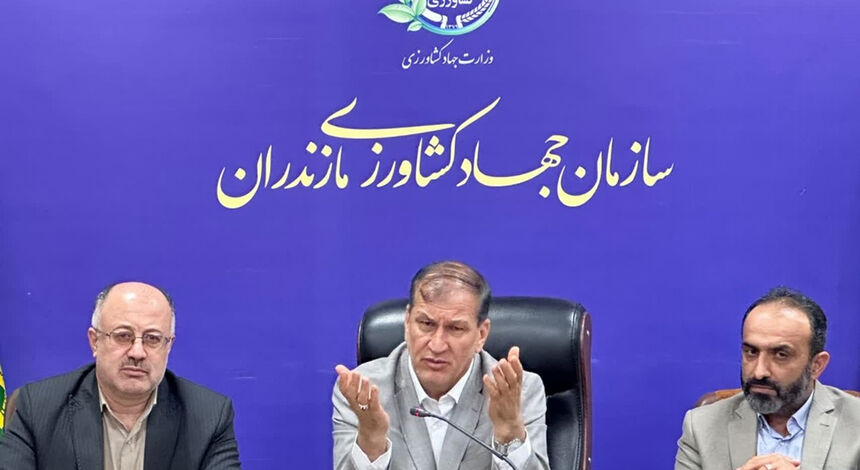 ساماندهی بازار مرکبات و‌ کیوی با هدف حمایت از تولیدکنندگان