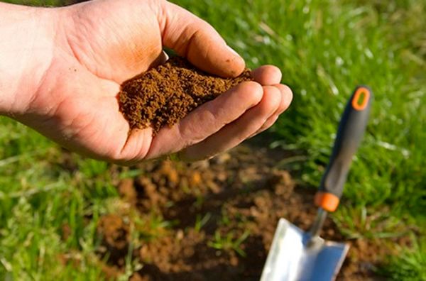 فرسایش؛ تازیانهای به جان خاک
