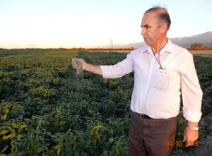 تقدیر وزیر جهاد کشاورزی از دکتر اسدی پژوهشگر گلستانی