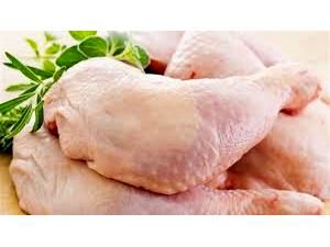 تولید 4800 تن گوشت سفید در تنکابن