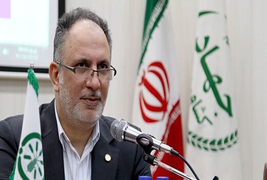 جبران 70 درصد بهای کودهای یارانه‌ای توسط دولت به رغم افزایش قیمت جهانی
