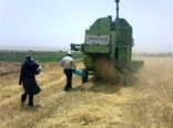 ورود بیش از 1200 دستگاه کمباین و تراکتور با جذب اعتبارات مکانیزاسیون