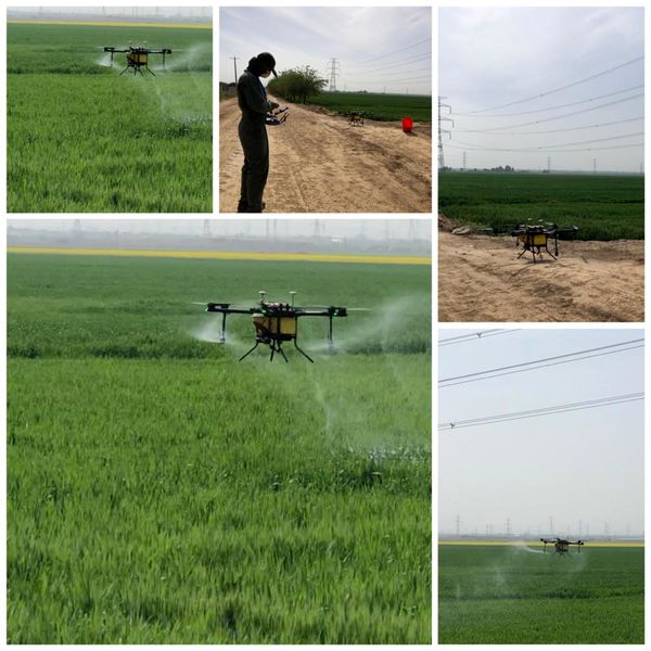 950 هکتار از مزارع کشاورزی در شهرستان نظرآباد با پهپاد سم پاشی شد