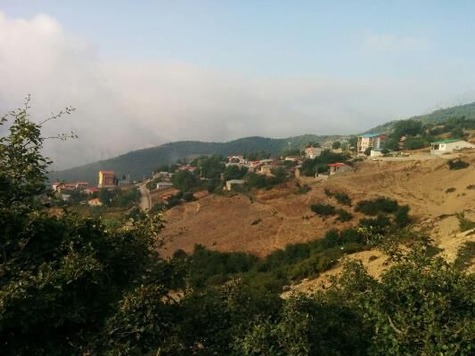 کوچه بن بست گردشگری در جنگل