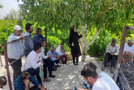 باغداران شهرستان بوئین زهرا با اصول صحیح تغذیه در باغات انگور آشنا شدند