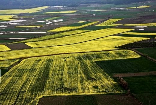 فرآیند رفع تداخلات اراضی کشاورزی درهفت شهرستان آذربایجان غربی به اتمام رسید / لزوم تسریع در روند عملیات اجرایی تا پایان سال جاری