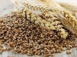 توزیع سبوس گندم در خرمشهر