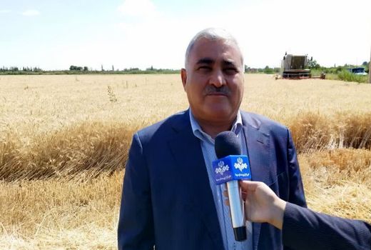 پرداخت مطالبات گندم‌کاران آذربایجان غربی