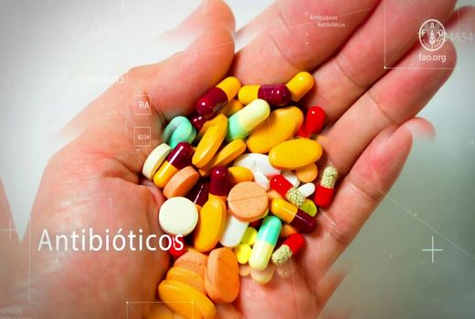 مقاومت میکروبی، امنیت غذایی و معیشت میلیون‌ها خانوار کشاورز را تهدید می‌کند