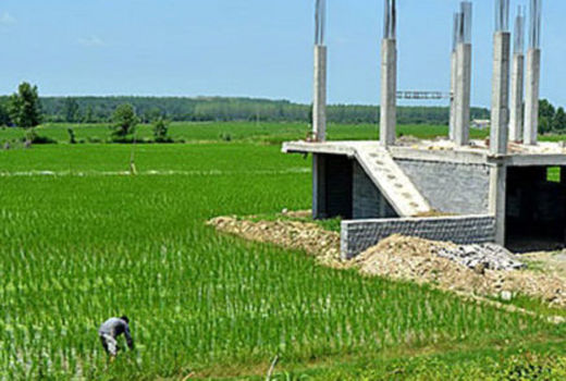 سایه خلأ هماهنگی بین دستگاهی بر اجرای قانون حفظ کاربری اراضی

