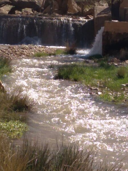 شبکه آبیاری جوکان علیای سرچهان مرمت می شود