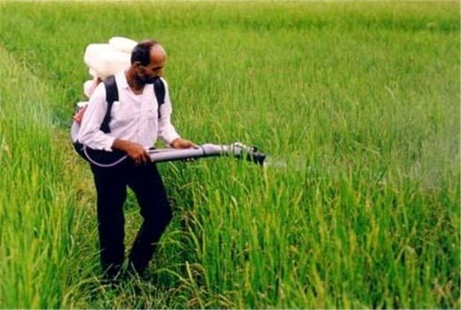 اجبارِ استاندارد کود در شورای عالی مطرح می‌شود