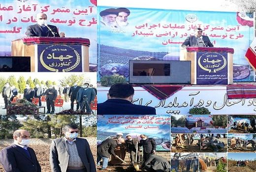 آئین متمرکز آغاز عملیات اجرایی طرح توسعه باغات در اراضی شیبدار برگزار شد