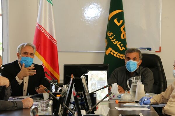 مرغداری‌های کردستان برای جوجه‌ریزی ۳۰۰ میلیارد تومان سرمایه در گردش نیاز دارند