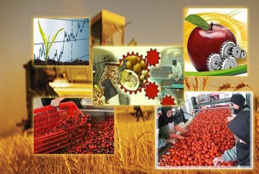 صنایع تبدیلی و غذایی پیشتاز  در سرمایه گذاری بخش کشاورزی هستند 