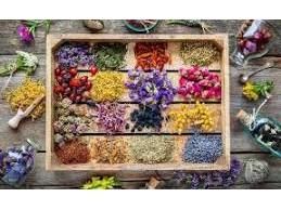 زمینه‌سازی برای صادرات گیاهان دارویی