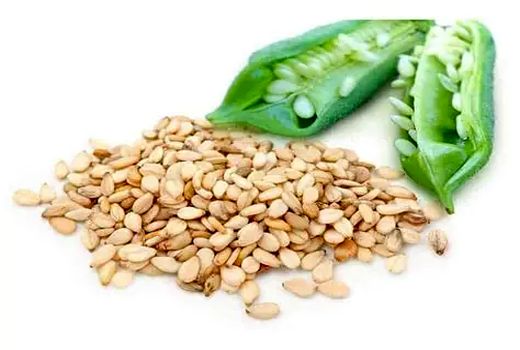 افزایش بهره‌وری کنجد مانع از واردات 85 درصدی روغن می‌شود