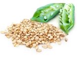 افزایش بهره‌وری کنجد مانع از واردات 85 درصدی روغن می‌شود
