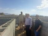 برگزاری کارگاه آموزشی پرورش آبزیان و ماهیان خاوری در ارزوئیه