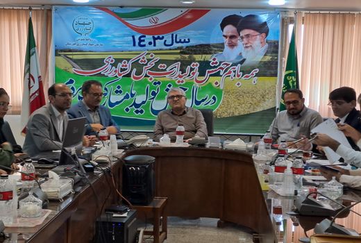 بررسی هشت پلاک در یازدهمین کمیسیون رفع تداخلات خوزستان