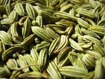 کشت زیره سبز دیم در  مزارع کشاورزی شهرستان آبیک