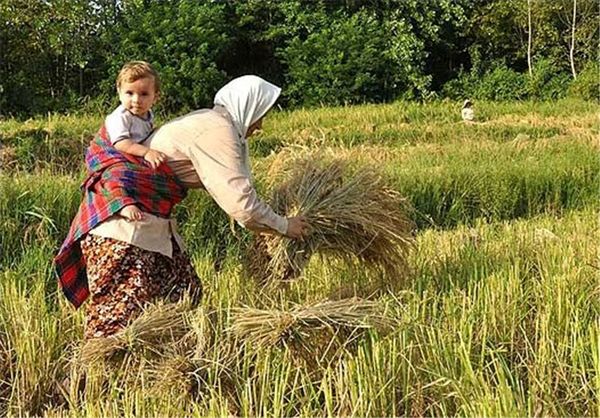 اجلاس منطقهای زنان در تهران برگزار میشود