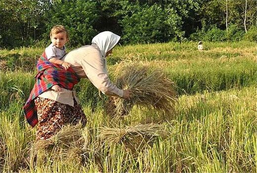 اجلاس منطقه‌ای زنان در تهران برگزار می‌شود