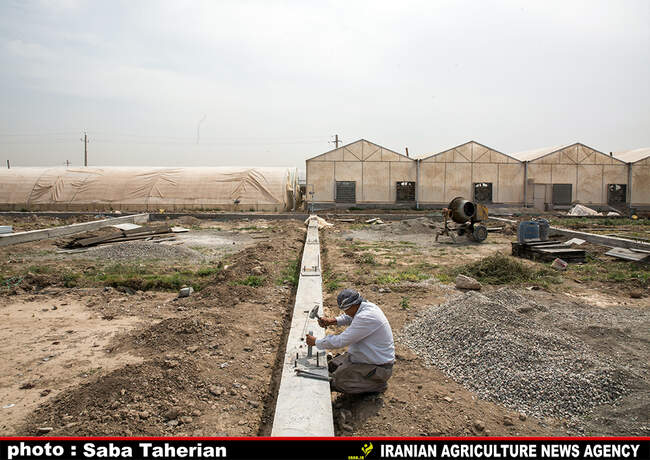 گلخانه بیست و پنج ساله درپاکدشت