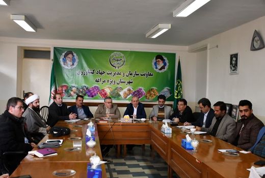 نگاه جزیره‌ای یکی از آفات حوزه کشاورزی است