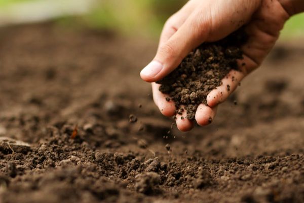 نشست هم اندیشی بین نسلی به مناسبت روز جهانی خاک در بهبهان