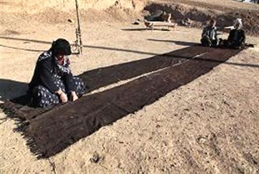 عشایر خراسان شمالی بافت سیاه چادر را از سر گرفتند