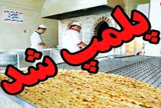 ۱۴ واحد نانوایی متخلف در استان قزوین پلمب شده است
