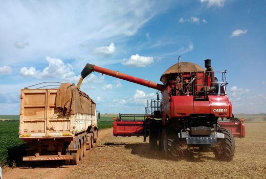 شرکت بزرگ برزیلی تأمین‌کنندگان کلان را به کشاورزی احیاکننده ترغیب می‌کند