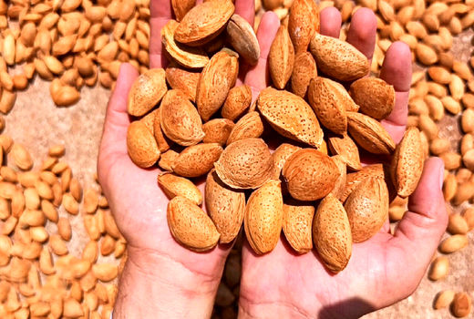 توسعه ای که فقط به چشم انداز تولید خیره شده است