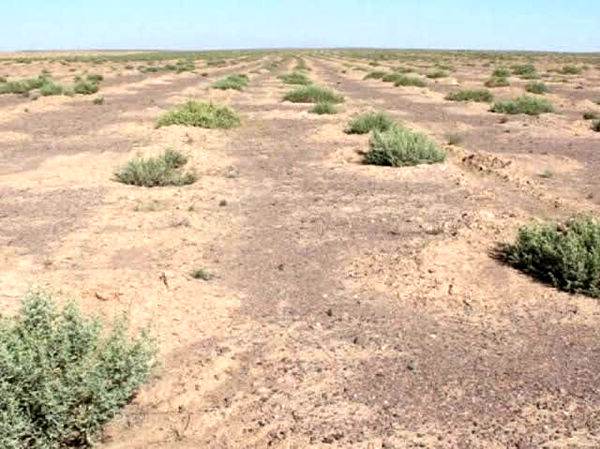 تشکیل 4 کانون ریزگرد و گردو غبار در حاشیه دریاچه ارومیه 

