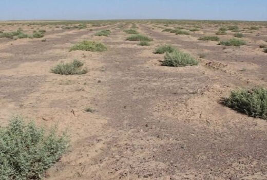 تشکیل 4 کانون ریزگرد و گردو غبار در حاشیه دریاچه ارومیه 

