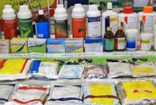 نظارت کامل بر فروشگاه‌ها باهدف امحای سموم غیر مجاز 