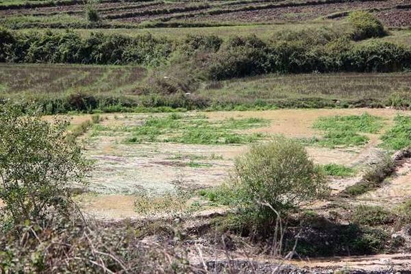 بیش از 58 هزار میلیون ریال کمک بلاعوض به کشاورزان خسارت دیده از سیل فروردین 98 پرداخت شد