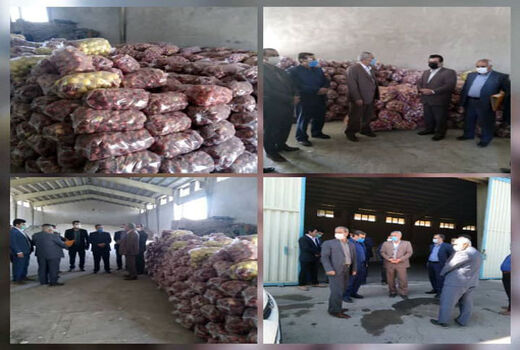 خرید تضمینی سیب صنعتی توسط تعاون روستایی آذربایجان شرقی 